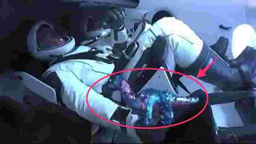 Le dinosaure à paillettes envoyé dans l'espace par SpaceX est en rupture de stock presque partout