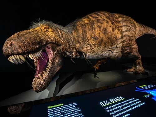 Voici A Quoi Ressemblait Vraiment Un T Rex Et Il Est Tres Different Du Monstre De Jurassic Park