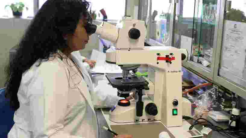 Coronavirus : les pharmacies pourront désormais effectuer des 'tests rapides'