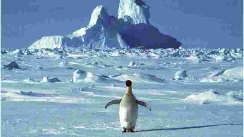 Du méthane s'échappe des fonds marins de l'Antarctique, ce qui est inquiétant pour le climat