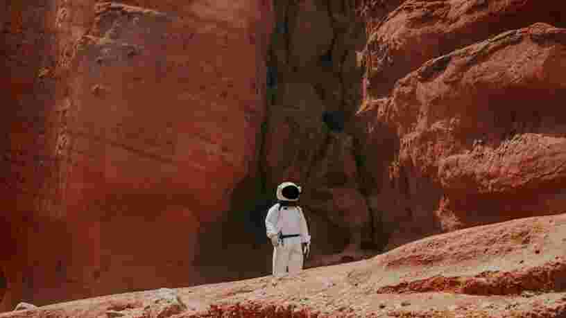 'Mars commence à devenir crédible', affirme Elon Musk après le vol réussi d'un prototype de fusée Starship