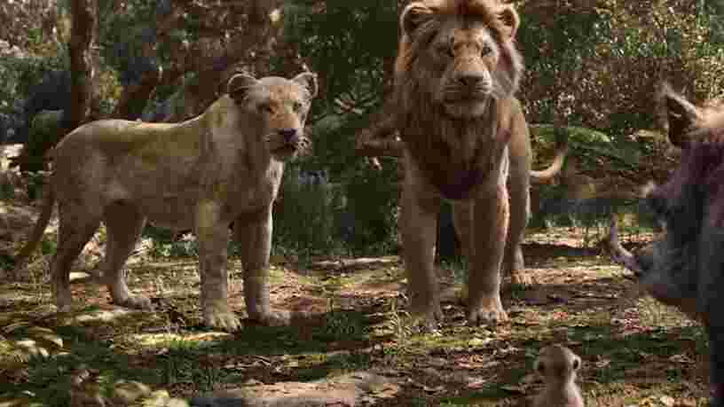 'Le Roi Lion' va avoir droit à une suite par le réalisateur de 'Moonlight'