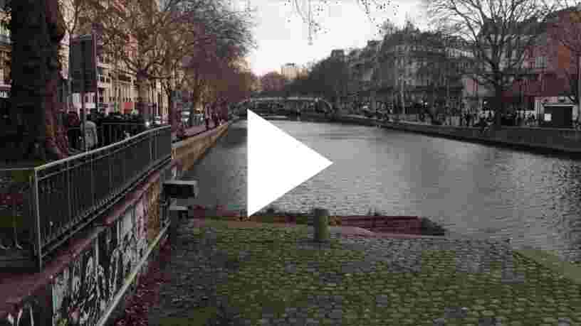 Un radeau végétalisé a été installé au bord du canal Saint-Martin pour restaurer l'écosystème urbain. Voici comment il fonctionne.