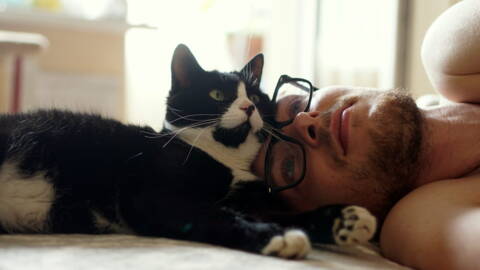 Six Attitudes De Votre Chat Expliquees Par Les Experts