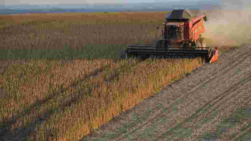 Les 10 pays qui exportent le plus de produits alimentaires dans le monde