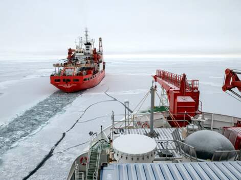 Réchauffement climatique : zoom sur l'expédition Mosaic en Arctique