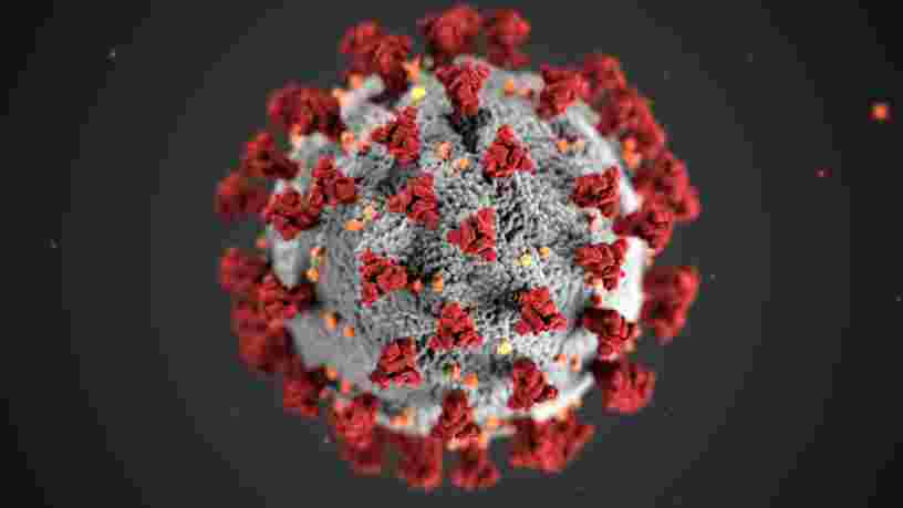L'OMS et les experts rassurent sur la nouvelle souche du coronavirus détectée au Royaume-Uni