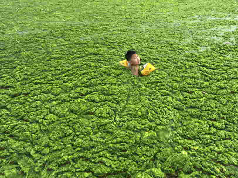 If You Think China's Air Is Bad, You Should See The Water 