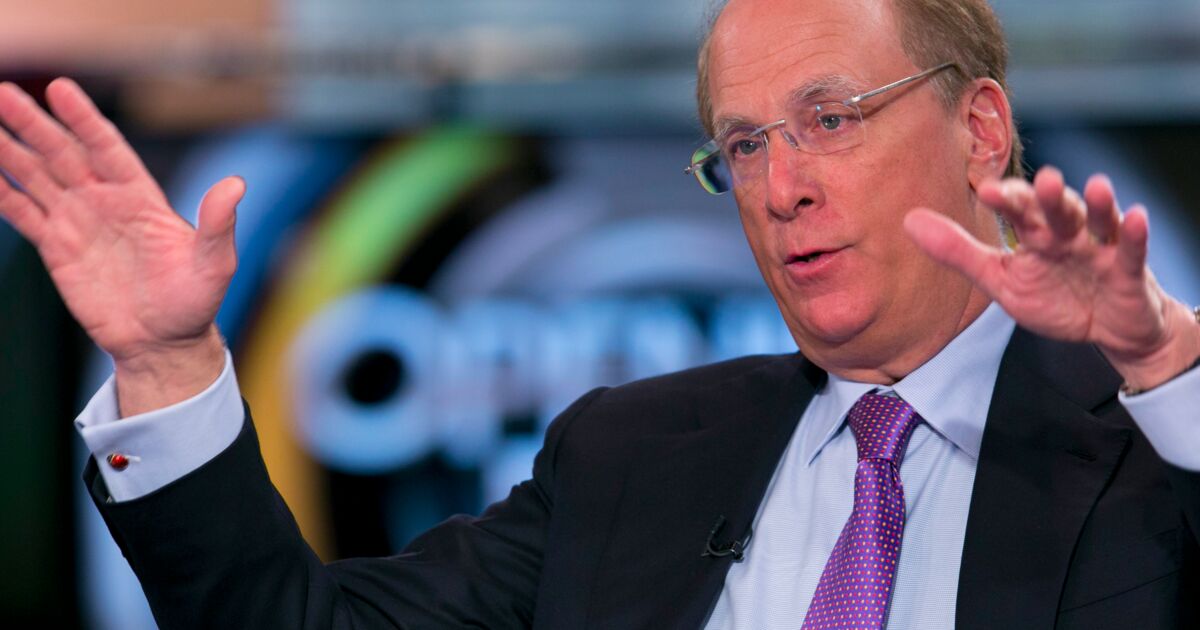 Here is the letter the world's largest investor, BlackRock CEO Larry