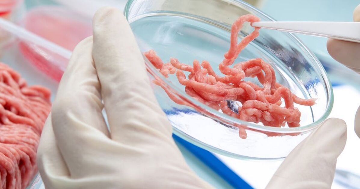 https://www.businessinsider.com/beef-companies-file-petition-against-lab-grown-meat-startups-2018-2