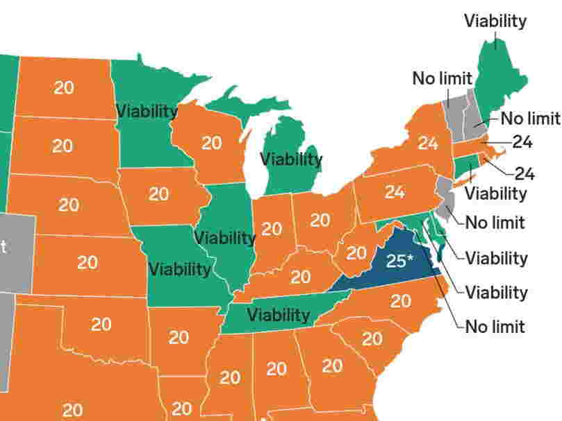 Here's the latest point in pregnancy you can get an abortion in all 50 states