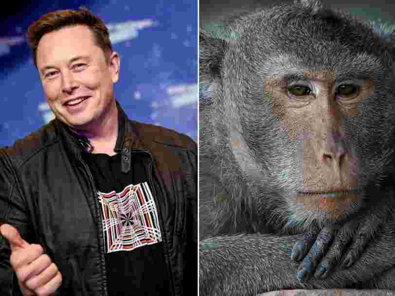 Elon Musk's brain-chip company, Neuralink, released a video of a monkey