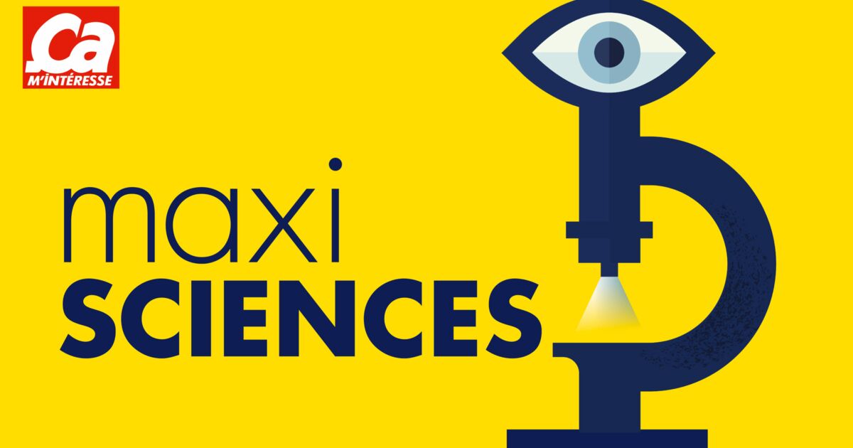 Le flash de la curiosité