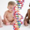 L’intelligence est-elle inscrite dans les gènes ?