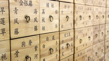 quand la dietetique chinoise rencontre la cuisine française