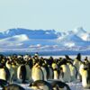 Antarctique : il y a 200 ans, on découvrait le continent blanc