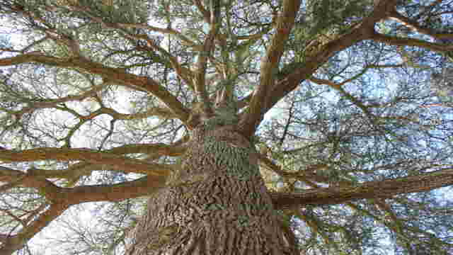 Vivre plus longtemps voici quelques astuces ! Ça m'intéresse