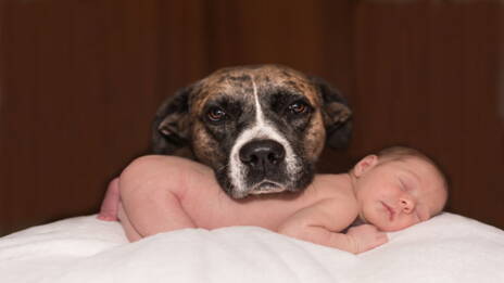 Les Chiens Ont Ils La Notion Du Temps Qui Passe Ca M Interesse