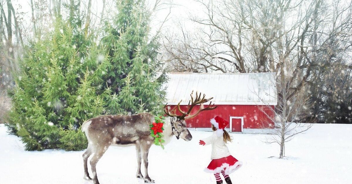 Quels sont les noms des rennes du Père Noël ? Ça m'intéresse