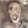 Des momies à la langue d’or découvertes en Egypte