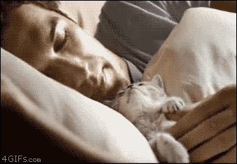 Dormir avec son animal de compagnie impacte-t-il notre sommeil ?