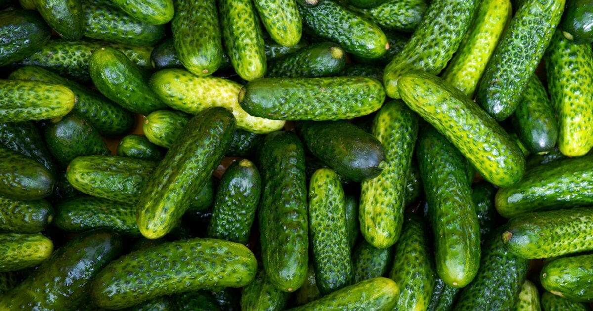 D'où vient le cornichon ? Ça m'intéresse