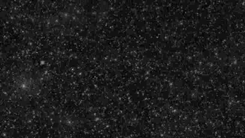 Un radiotélescope génère une carte de plus de 25 000 trous noirs