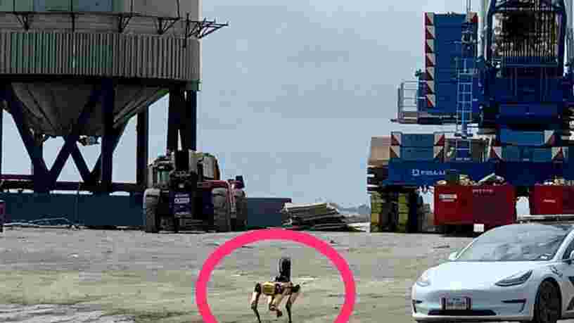 SpaceX : un chien robot a inspecté l'épave du prototype de fusée Starship