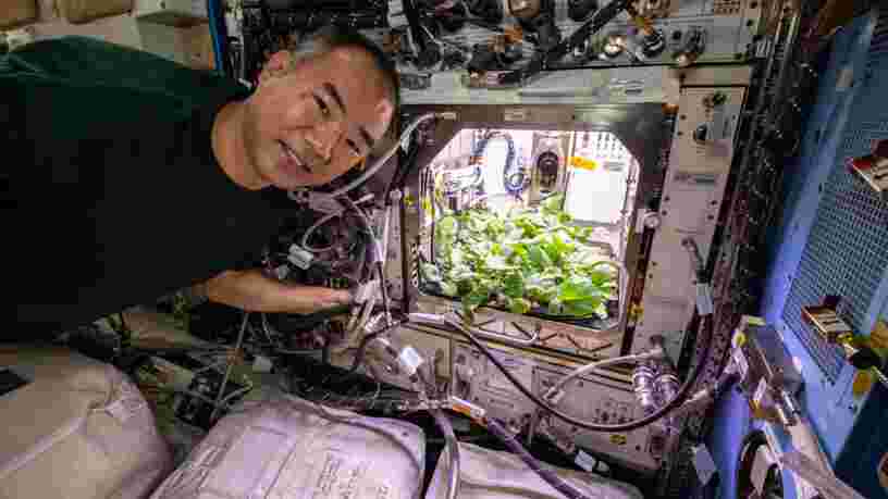 Des bactéries inconnues découvertes à bord de la Station spatiale internationale