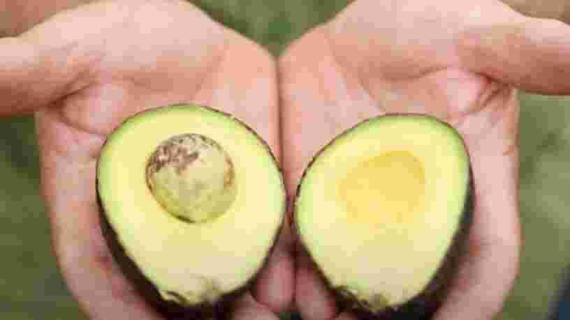 Voici pourquoi la mode des avocats coûte cher aux consommateurs et à la planète