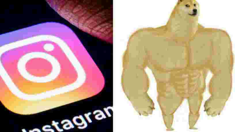 Comment des groupes néonazis utilisent Instagram pour recruter des jeunes