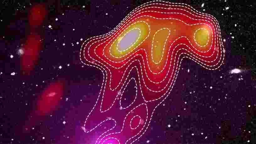 Ces ondes radio en forme de méduse intriguent les astronomes