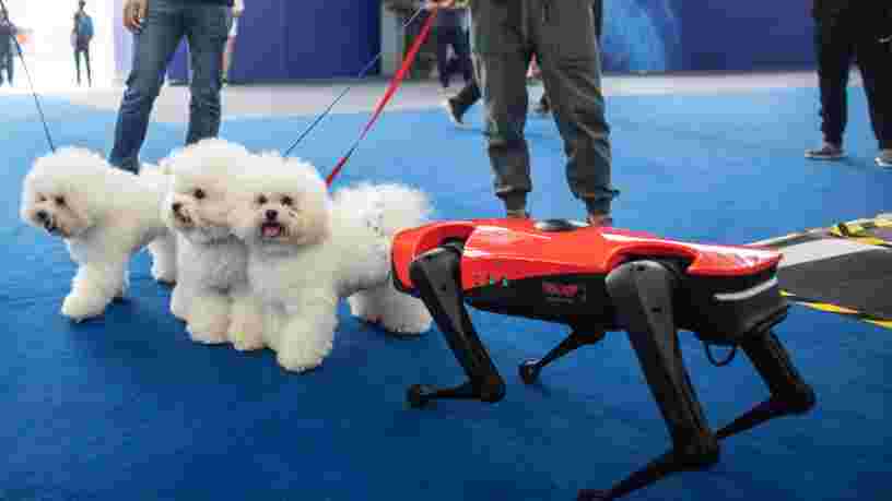 Voici Alphadog, le robochien chinois le plus rapide au monde