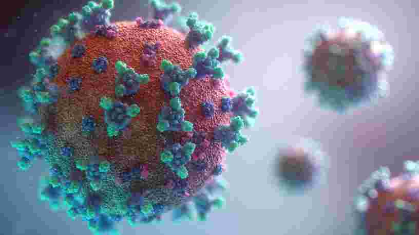 Indien, brésilien, sud-africain... Ce qu'il faut savoir sur ces variants qui inquiètent les scientifiques