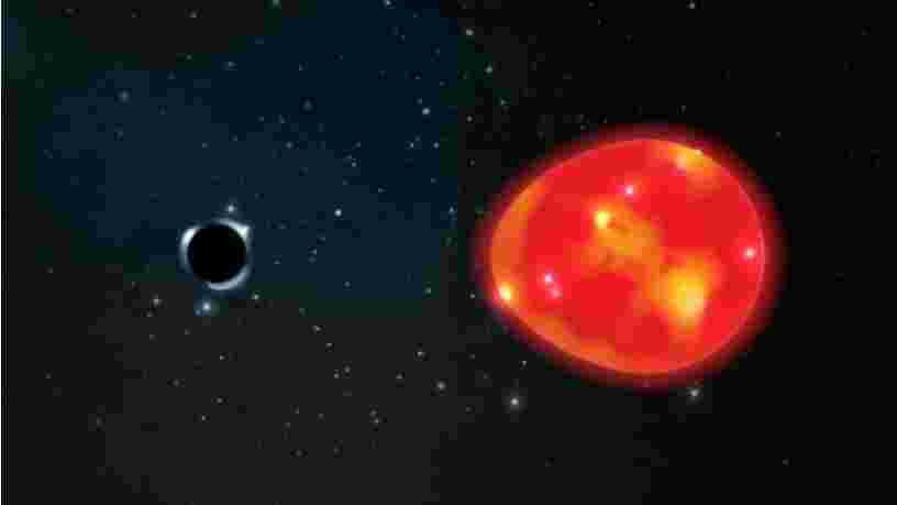 Ce trou noir serait le plus petit jamais identifié, mais aussi l'un des plus proches de la Terre