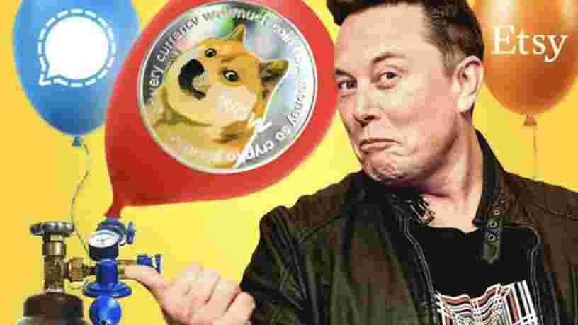 Elon Musk insinue que Tesla pourrait accepter le dogecoin comme moyen de paiement, le cours bondit