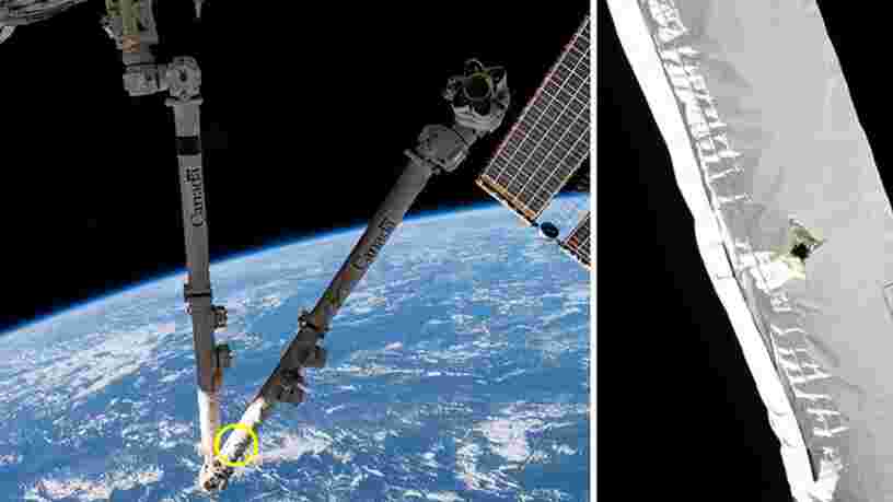 Un débris spatial a perforé le bras robotisé de l'ISS