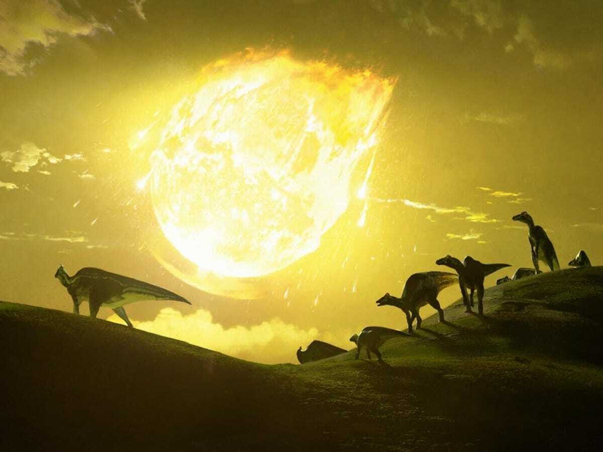 Le déclin des dinosaures aurait débuté bien avant la chute d'un astéroïde sur Terre