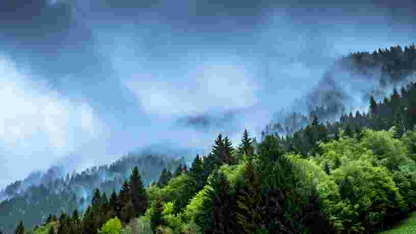 115 grands investisseurs demandent aux banques de s'engager pour le climat