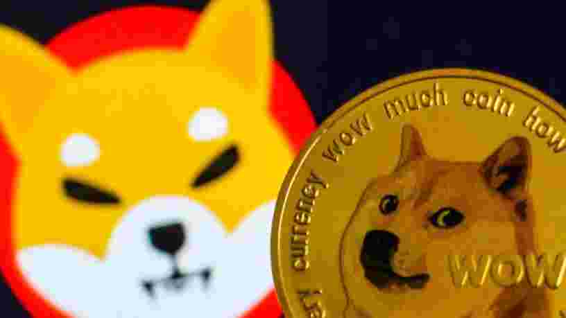 La crypto Shiba Inu a bondi de 30% après un tweet d’Elon Musk