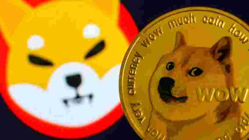 La crypto Shiba inu valorisée à 12Mds$ en à peine 14 mois