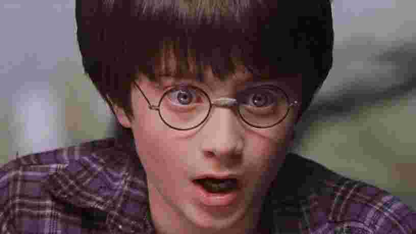 Pourra-t-on voir l'épisode spécial de Harry Potter en France ?