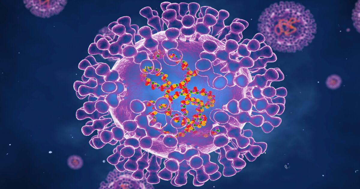 Qu'est-ce que la variole du singe, qui touche l'Espagne, le Portugal et le Royaume-Uni ?