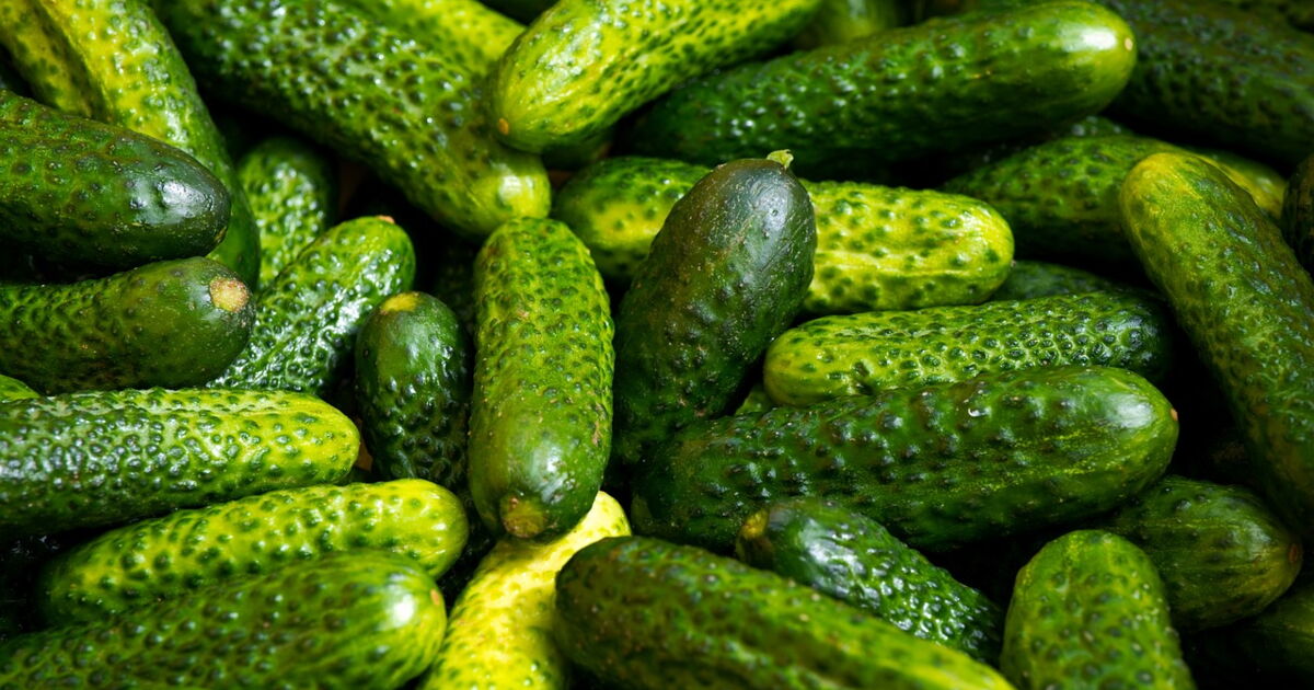 Quelles différences entre un et un cornichon ? Ça m'intéresse