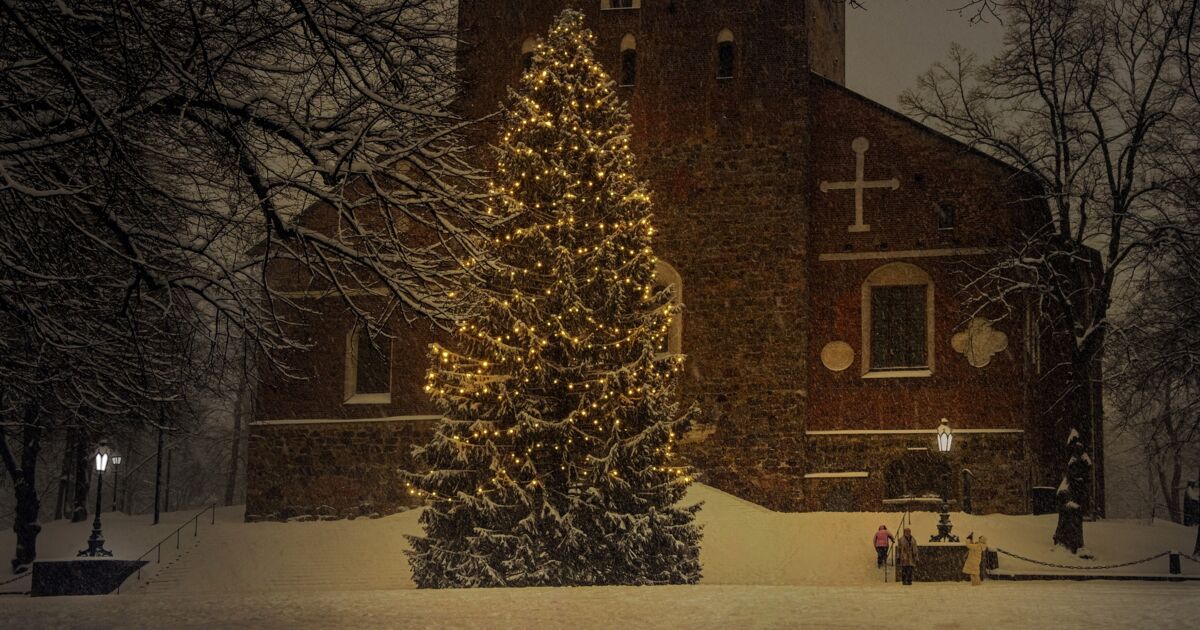 Quel est le plus beau sapin de Noël artificiel ? Ça m'intéresse