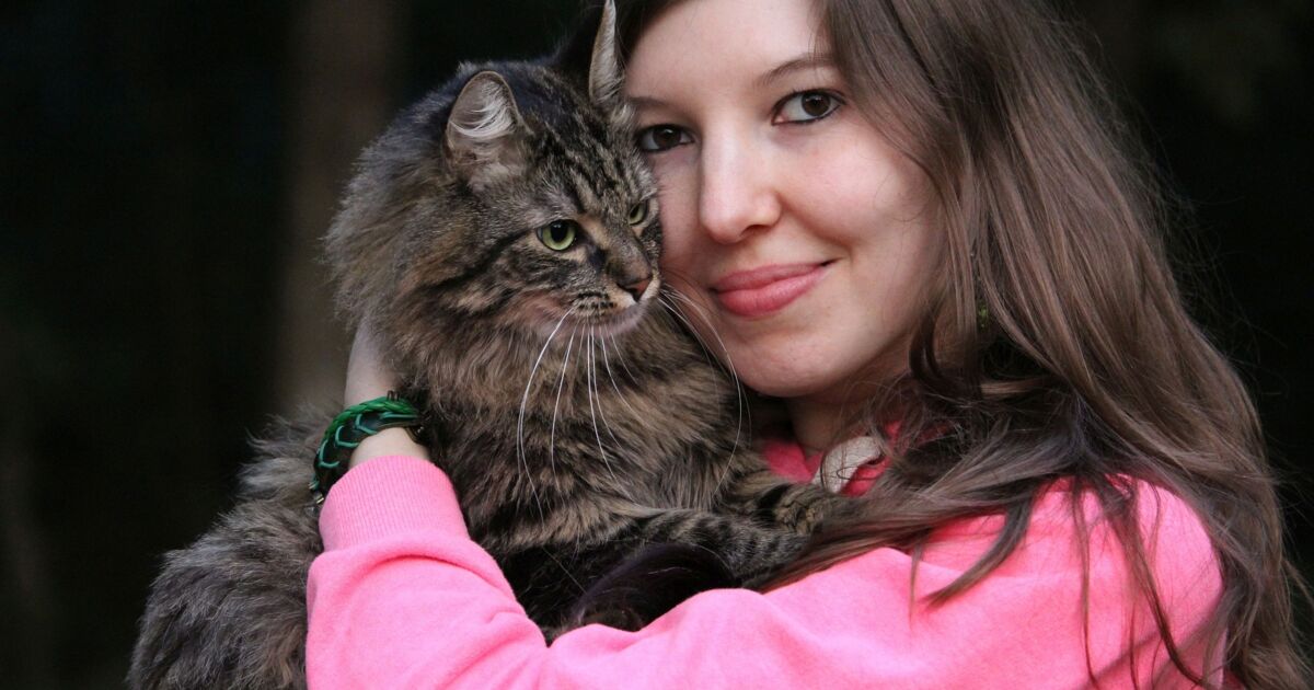 Pourquoi votre chat est plus câlin que d'habitude ?