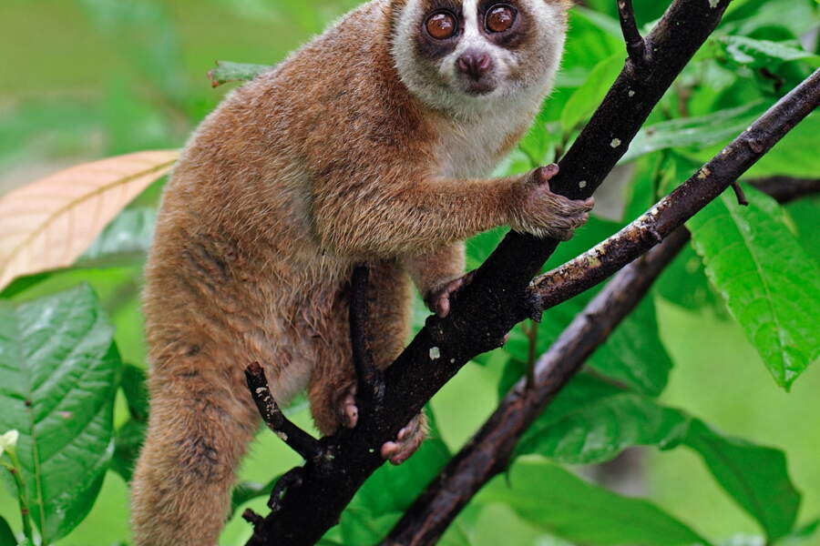 Xolear 160 G Perles Colorées, Vrac Coloré Acrylique Perles Il Y A Des