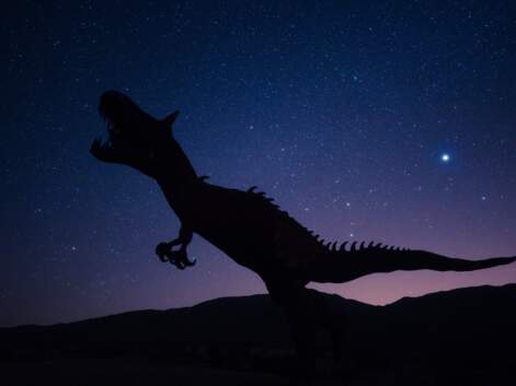 Dinosaures : les découvertes les plus importantes de 2023