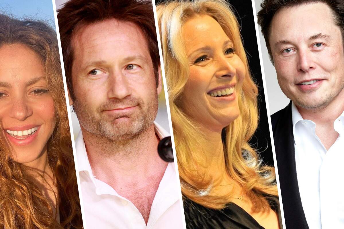Shakira, Ashton Kutcher, Elon Musk… Ces célébrités avec le plus gros QI !