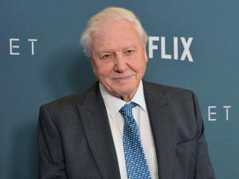 David Attenborough: Life and facts about the legendary naturalist